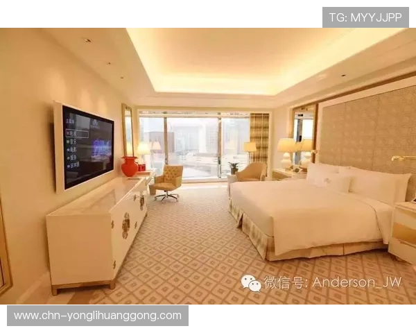 永利皇宫在线官网优惠福利政策及新手注册奖励详解