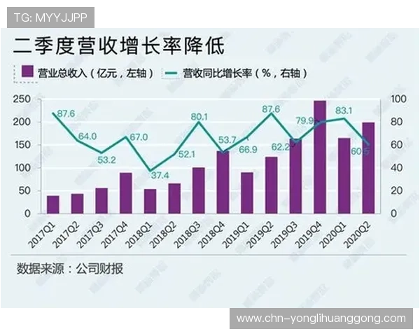 永利皇宫豪赌引发热议，豪赌背后的高额回报与风险分析