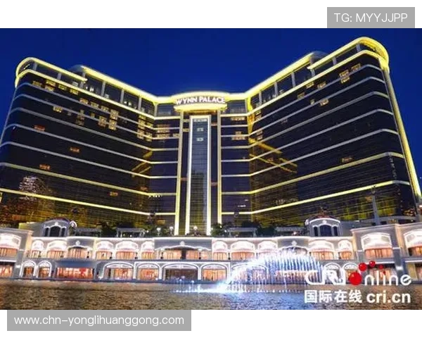 永利赌场是谁的运营团队，了解其管理层和所有者的详细情况