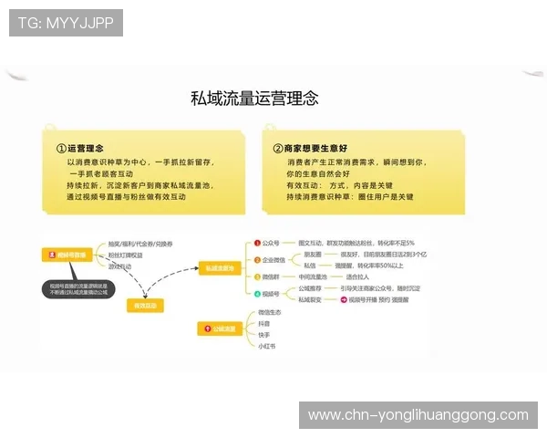 永利页面设计优化提升用户体验的实用技巧与最新趋势分析