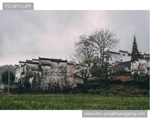 东方娱乐官网提供丰富多样的游戏选择，满足不同玩家的娱乐需求