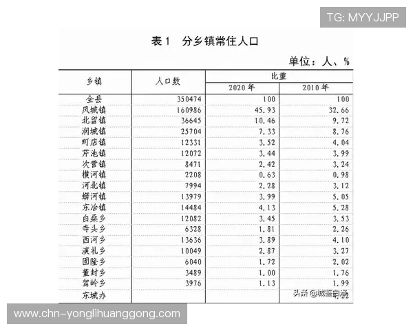 大阳城登陆官网入口2024年最新版本安全稳定快速访问指南