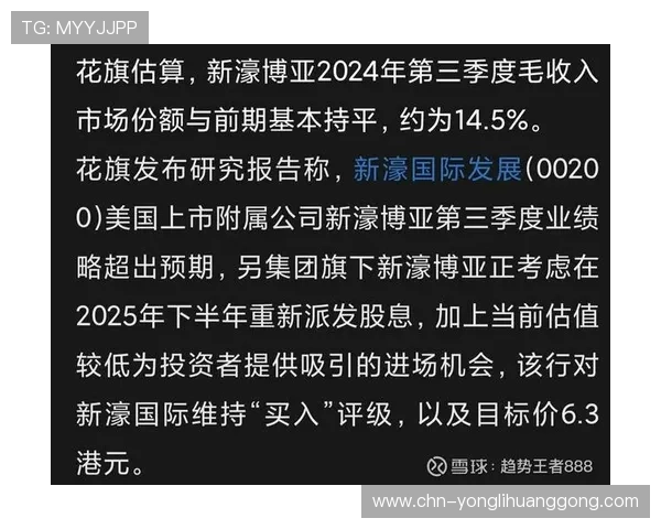 新濠国际品牌背景与企业实力深度剖析助力投资决策 新濠国际品牌背景与企业实力深度剖析助力投资决策