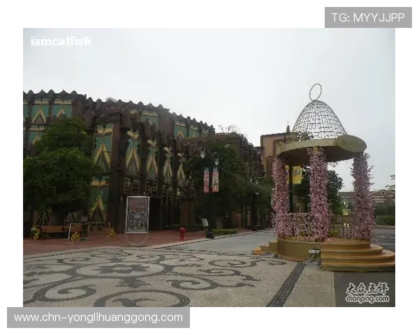 澳门娱乐城在线游戏攻略大全，帮助新手快速掌握玩法技巧实现高效盈利