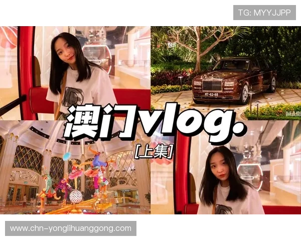 澳门永利手机版会员登录流程详解及常见问题解决方案，确保每位玩家轻松顺利登录账号