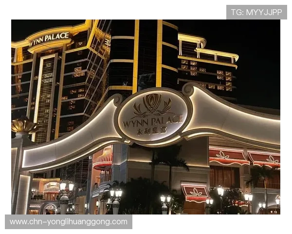 澳门永利集团官网网址官方入口查询，保障玩家安全访问的最佳途径